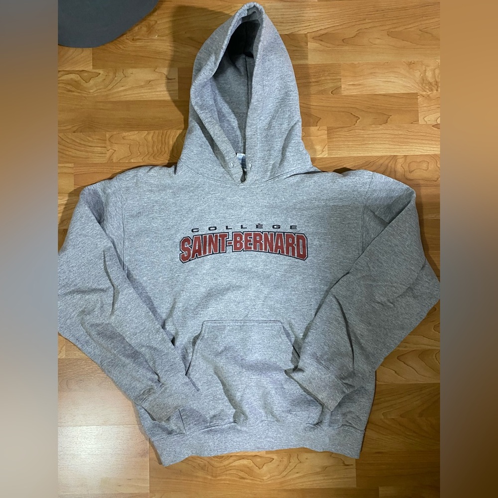 Gildan hoodie